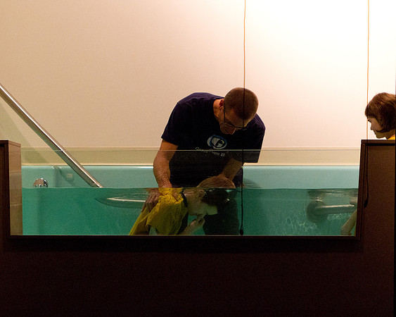 Baptism 2011-11-02