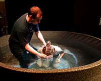 Older Baptisms